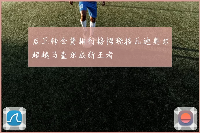 后卫转会费排行榜揭晓格瓦迪奥尔超越马奎尔成新王者